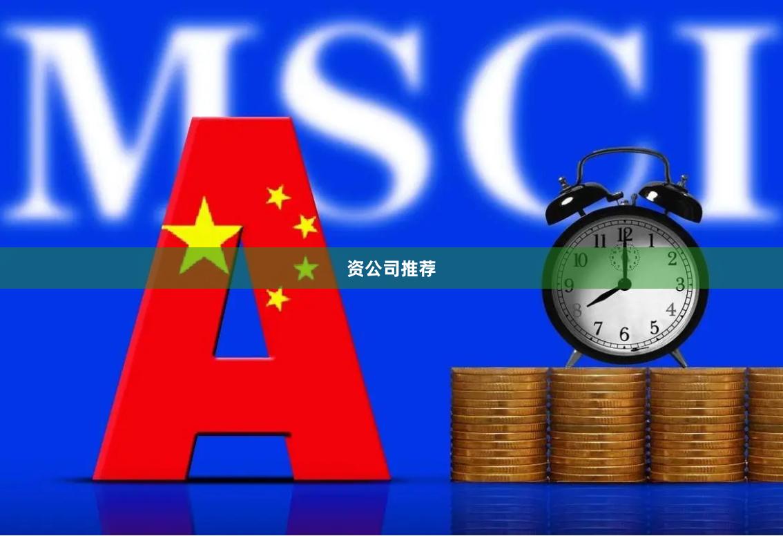 资公司推荐